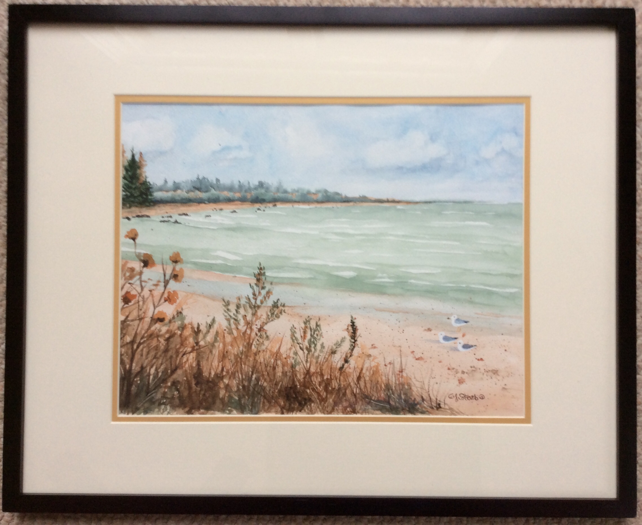 Sturgeon Bay by Cydney J. Steeb