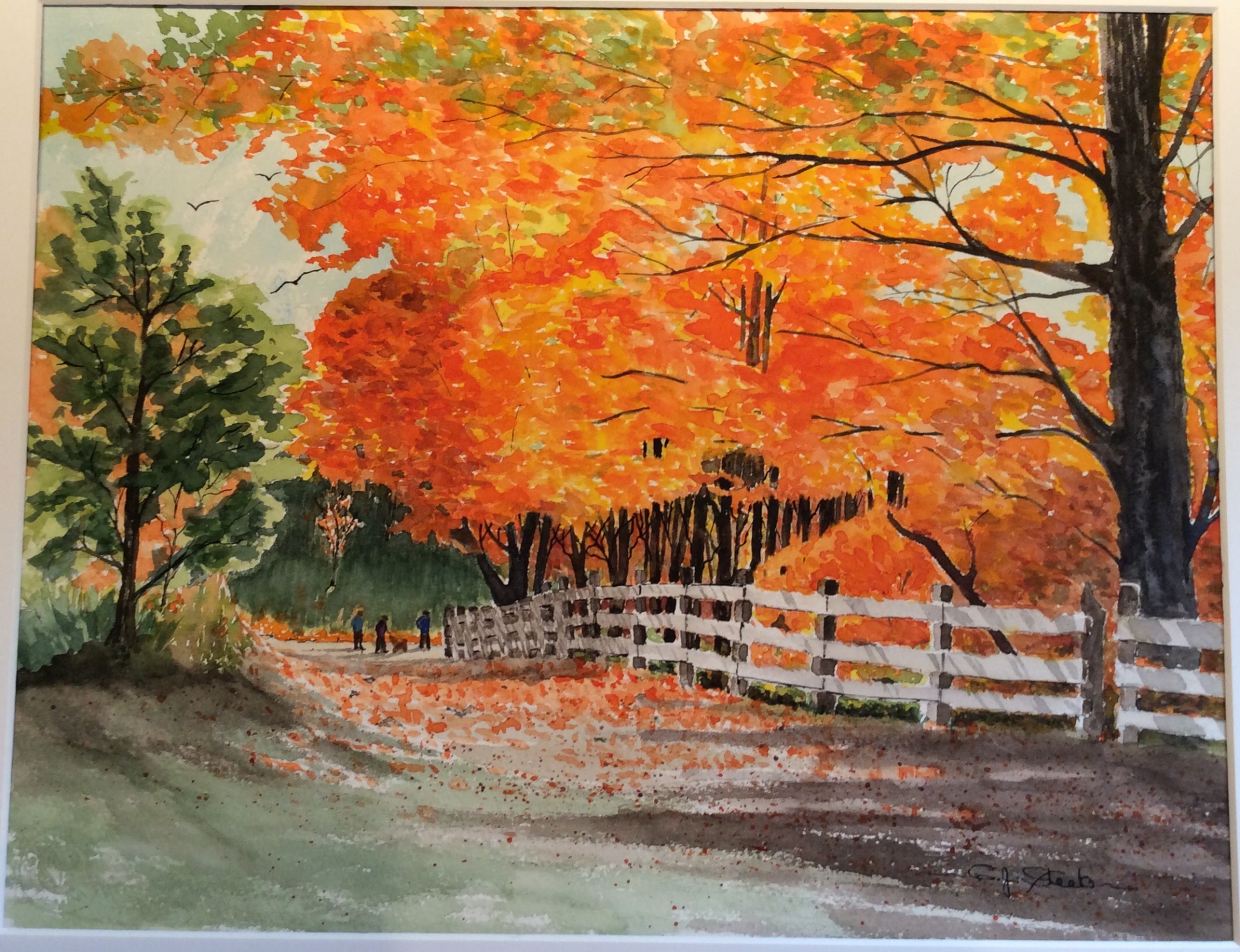 Fall Stroll by Cydney J. Steeb