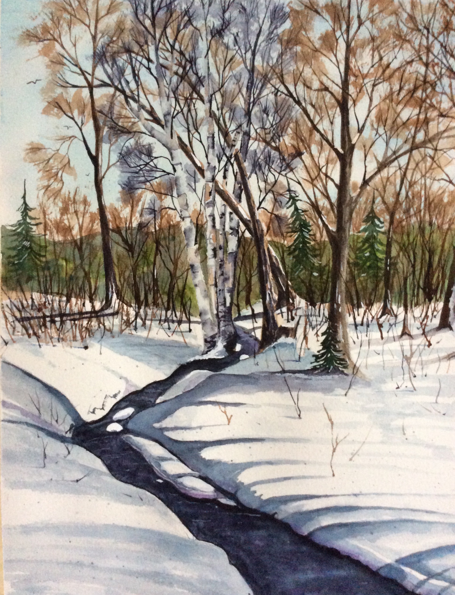 Spring brook Trail by Cydney J. Steeb