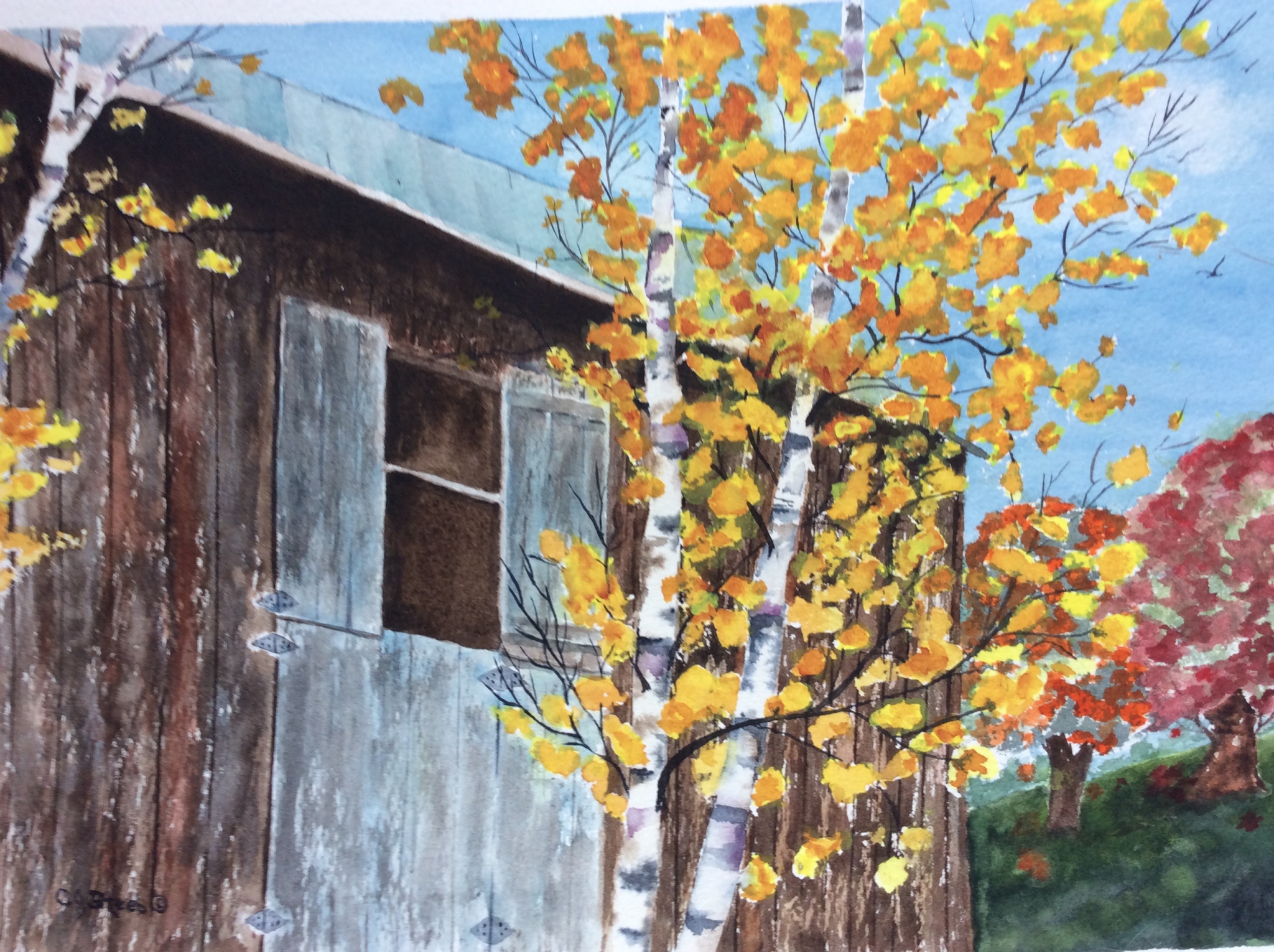 Fall on the Farm 2 by Cydney J. Steeb