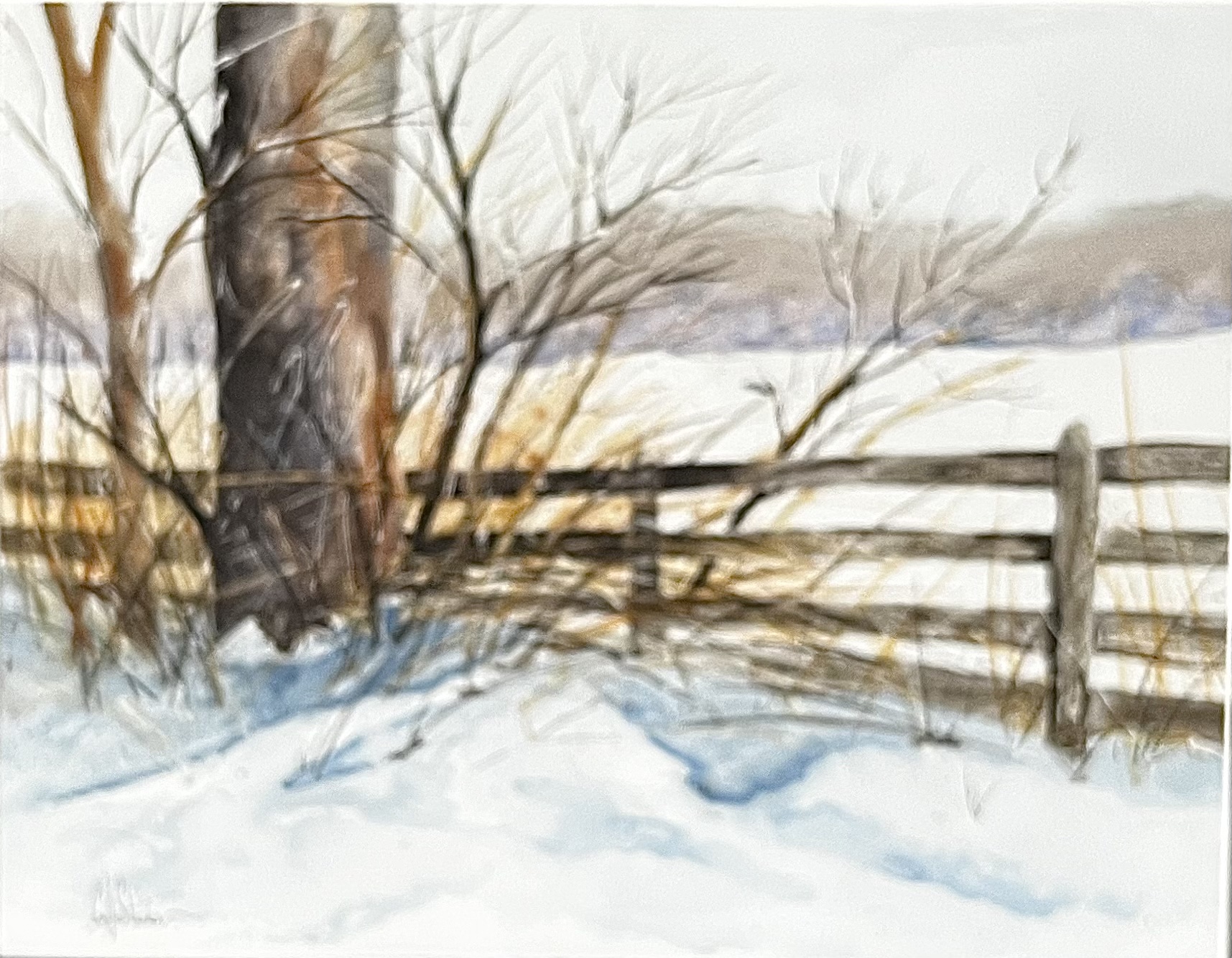 Roadside in Winter by Cydney J. Steeb